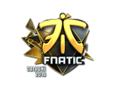 Sticker | Fnatic (Foil) | Cologne 2016 Item Image