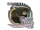 Sticker | FURIA | 2020 RMR Item Image
