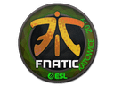 Sticker | Fnatic (Holo) | Katowice 2019 Item Image