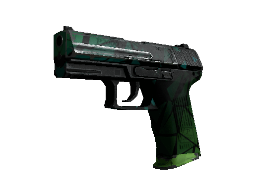 P2000 | Pulse (Well-Worn) Item Image