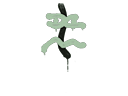 Sealed Graffiti | Recoil XM1014 (Cash Green) Item Image