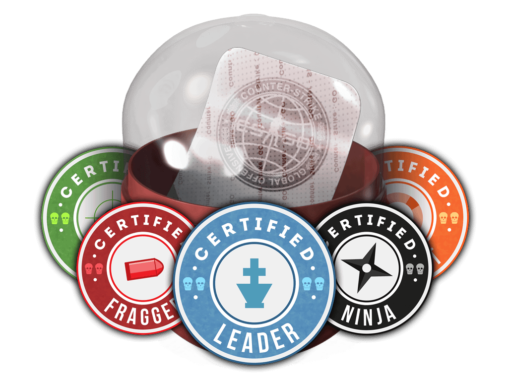 Team Roles Capsule Item Image