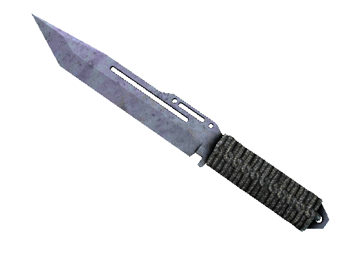 ★ Paracord Knife | Blue Steel (Field-Tested) Item Image