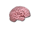 Sticker | CS On The Mind Item Image